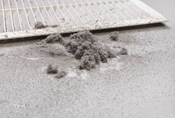 Best HVAC Maintenance and Cleaning  in Oak Grove, VA