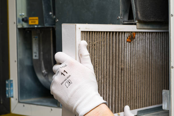 Best Affordable Duct Cleaning Services  in Oak Grove, VA